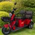 Электро трицикл GreenCamel Пони Z8 (60V 650W) дифференциал